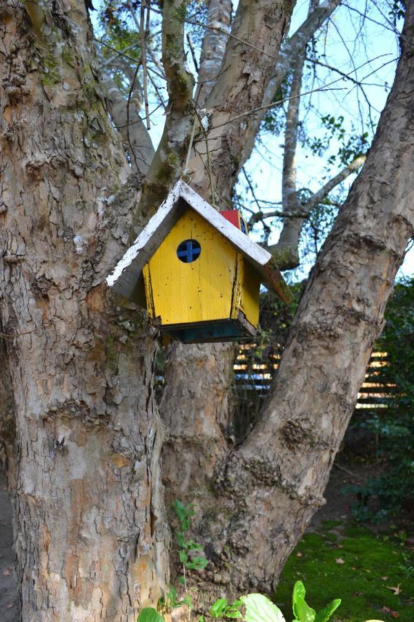 Casa Sirin Villa Campos do Jordão Eksteriør billede